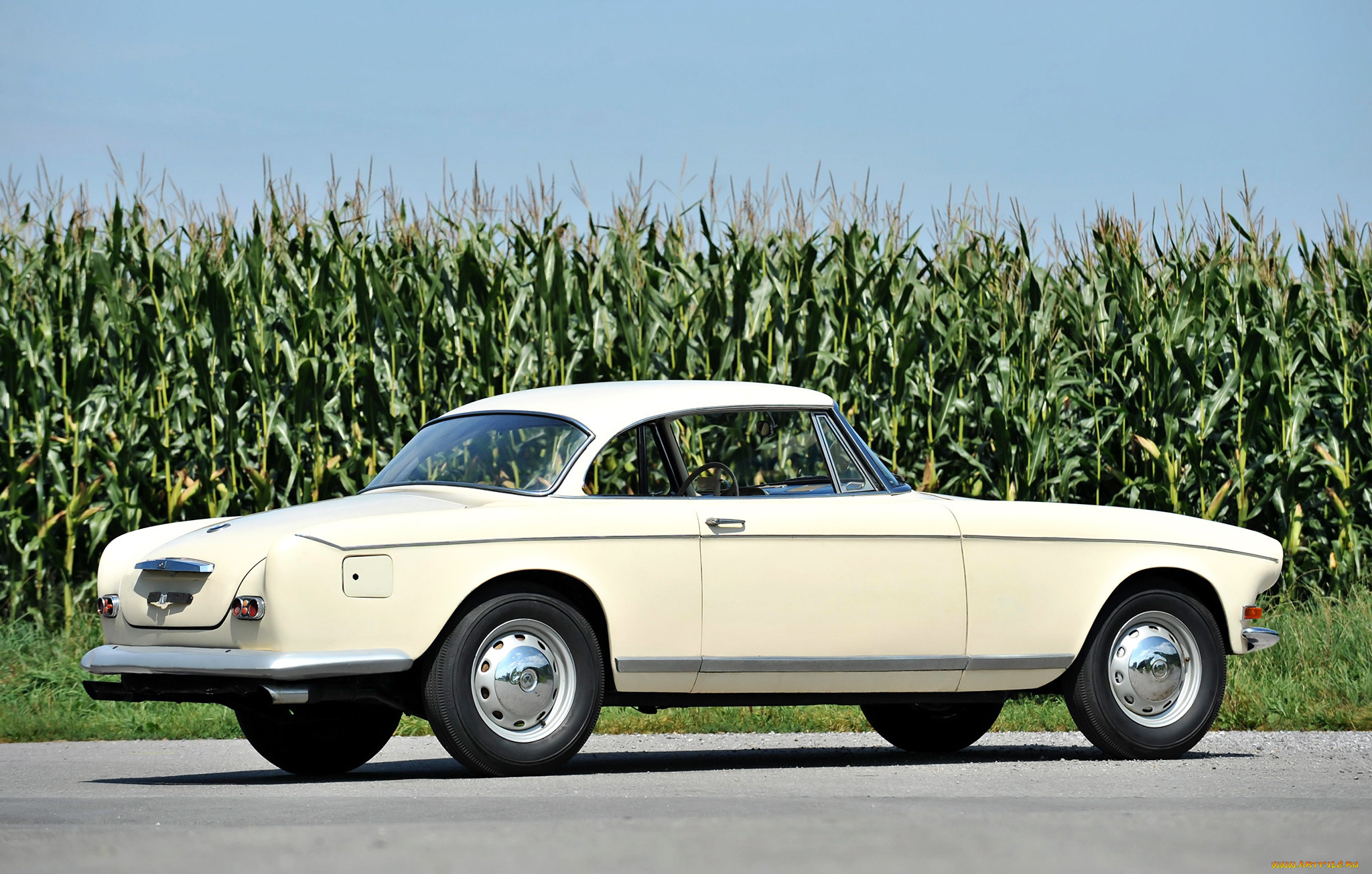 bmw 503 coupe by ghia aigle 1956, , bmw, aigle, ghia, coupe, 1956, 503